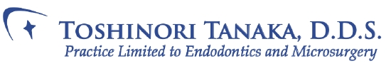 ToshiDDS_with_title_logo_large_final.pdf